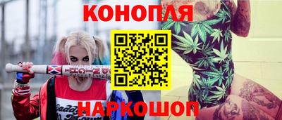 СК Заводоуковск