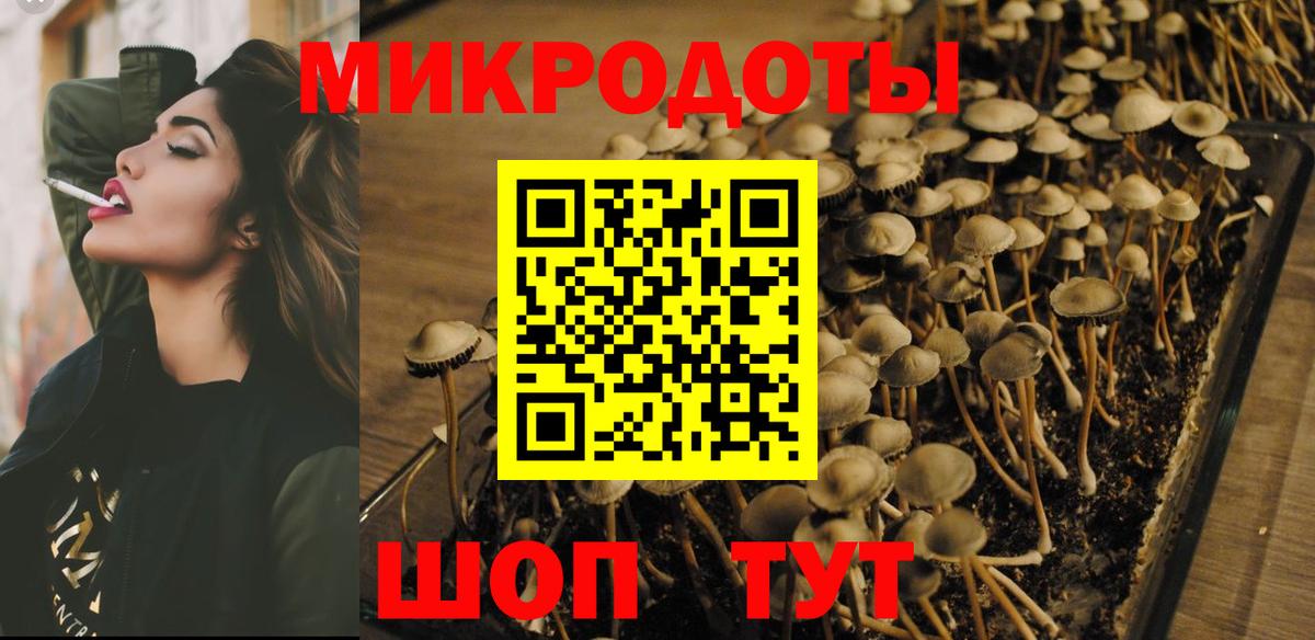 Галлюциногенные грибы GOLDEN TEACHER Ливны